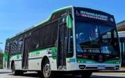 El paro de colectivos no afecta a los de La Plata: ¿qué líneas no funcionan?