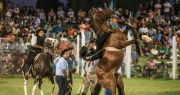 Empieza la Fiesta Nacional de las Destrezas Criollas y del Folklore en Rawson, mirá cómo disfrutarla
