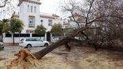 Evacuan a más de cuatro mil vecinos en Andalucía, España por el Temporal Leonardo