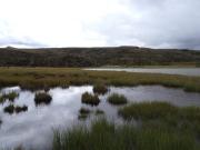 Avistamientos en el Parque Nacional Llanganates 