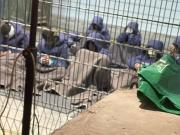 Israel retiene en prisiones a miles de palestinos