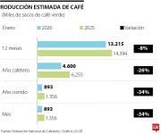 En enero, producción de café tuvo una reducción de 34% frente al mismo mes de 2025