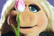 Cómo pasó Miss Piggy de ser de reparto a ser la cerdita más importante de la TV