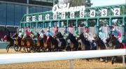 Javier Castellano destaca con doblete de victorias en Oaklawn Park