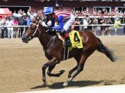 José Luis Ortiz domina Fair Grounds con un póker de triunfos este jueves