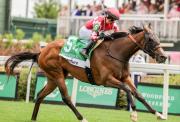 ¡Está de regreso! La campeona tresañera de 2025 enfrentará a seis oponentes en el Bayakoa Stakes (G3)