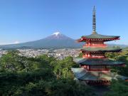 El escatológico motivo por el que este año Japón canceló su tradicional Festival de los cerezos en flor