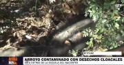 Grave contaminación en arroyo de Ypané: apuntan a empresa de desagüe cloacal