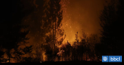 Alerta por riesgo de incendios forestales en 3 comunas de provincia de Bío Bío: están bajo Botón Rojo