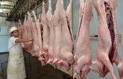 Creció el consumo y la producción de carne porcina