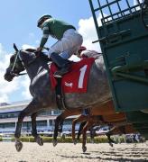 Pronósticos Gulfstream Park: picks gratis y el dato clave para el sábado 7 de febrero