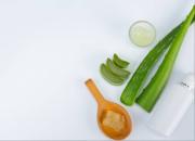 Aloe vera para el rostro: dile adiós a las arrugas en simples pasos