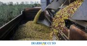 Con apoyo de Provincia y Cancillería, olivícolas buscarán que no los dañe el acuerdo UE-Mercosur 