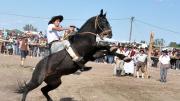 Jineteadas y otro capítulo de la polémica: ¿sufren los caballos cuando les pegan con rebenque y espuelas?
