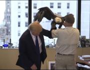 Trump posa junto a una emblemática águila calva “Uncle Sam” para la revista TIME (+Video)