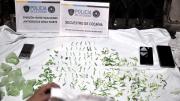 La policía porteña incautó medio millar de dosis de cocaína y marihuana en Constitución y Nueva Pompeya
