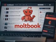 Entre el asombro y la preocupación: Moltbook, la red social donde bots de inteligencia artificial hablan entre sí