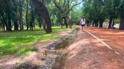 Las acequias, el legado huarpe que sorprende al mundo y convierte a Mendoza en un oasis urbano único