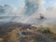 Ivacea continúa sus trabajos investigativos en el occidente de Carabobo