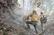 Riesgo alto y extremo de incendios forestales en Río Negro: piden extremar precauciones