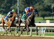 Splendora ganadora del Breeders Cup Filly & Mare Sprint metió un galope en el D. Wayne Lukas Stakes G2 por $200,000