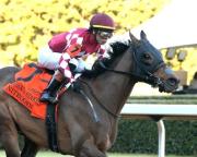 Sin enemigas: Nitrogen galopó la distancia del Bayakoa S. (G3) disputado en Oaklawn Park