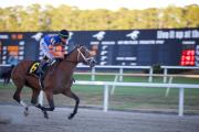 En la ruta al Kentucky Derby: Renegade con Irad Ortiz Jr., se llevó en gran forma el Sam F. Davis Stakes de $250,000