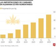 El cannabis se consolida como la nueva industria multimillonaria de Alemania
