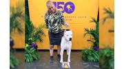 Toky, un dogo argentino cordobés, hizo historia en el Westminster 2026