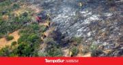 Advirtieron por riesgo alto y extremo de incendios forestales