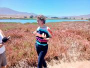 Ministra de Medio Ambiente oficializó nuevo servicio de Biodiversidad y Humedal Urbano Adelaida