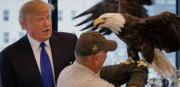 Así posó Donald Trump para la portada junto al águila calva: la icónica ave de la revista TIME