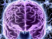 Cuál es la red cerebral hiperactiva que sería distintiva del párkinson