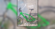 Robaron la bicicleta de “Papelito”, un joven de La Plata con discapacidad que la usa para trabajar