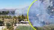 Bomberos combate incendio forestal en el Parque de Los Reyes de Santiago: Ocho compañías han sido despachadas al lugar