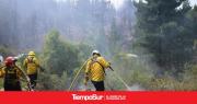 Incendios en la Cordillera: Provincia mantiene un amplio operativo con brigadistas y medios aéreos