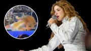 Video: Shakira sufre caída en pleno concierto en El Salvador que preocupó a sus fans