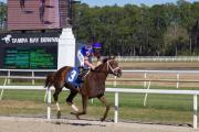 Camino al Kentucky Oaks: Zany con Irad Ortiz Jr., aplastó a sus rivales para mantener su invicto tras ganar el Suncoast Stakes de $150,000