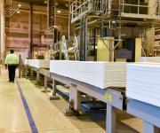 Empresarios definen ubicación para el proyecto que busca construir una planta de celulosa