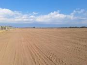 Minas argentinas busca US$ 12 millones en el mercado para financiar la construcción de un parque fotovoltaico