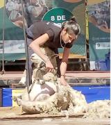 4º Encuentro de Esquiladores en Rodó