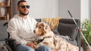 Cómo pedir un perro guía o de asistencia con el Certificado Único de Discapacidad