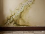 Filtraciones, calor y humedad: las últimas tecnologías para proteger la casa y evitar daños estructurales