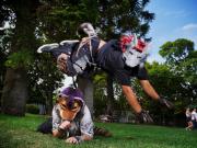 Me identifico con un perro: quiénes son los therians y por qué dicen sentirse como animales