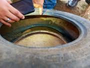 Declaran alerta roja por chikunguña en Santa Cruz