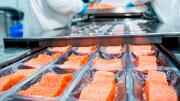 Por tercer año consecutivo: Salmón consolida su posición como la segunda mayor exportación de Chile