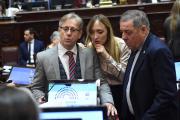 Senado: la UCR define su voto y marca límites a la reforma laboral