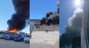 Incendio afecta planta Verfrut en Las Cabras: Seremi de Salud emitió alerta por columna de humo