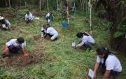 Reforestan 1,000 árboles nativos para recuperar ecosistemas degradados en Oxapampa