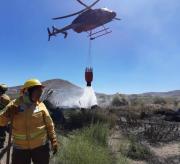 La revancha de Nely: la brigadista mapuche que perdió a su hermana en un incendio y ahora desafía al fuego